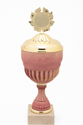 Pokal 42273
