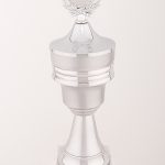 Pokal 98253