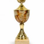 Trophy 3087
