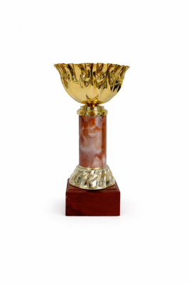 Pokal 5741