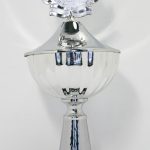 Pokal 97442