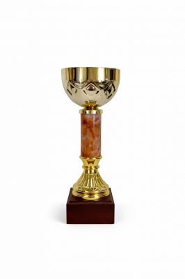Pokal 5744
