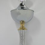 Trophy 1
