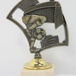 Q 255 Fußball