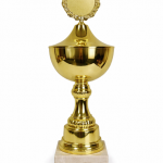 Trophy 5849
