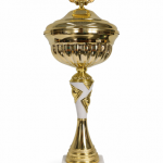 Pokal 5894