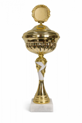 Pokal 5894