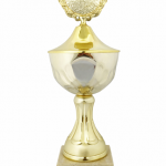 Trophy 5176