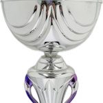 Trophy 5348
