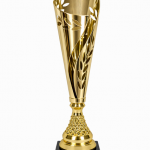 Trophy 5929