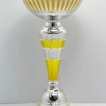 Pokal 5947