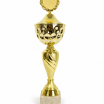 Trophy 5984