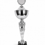 Trophy 5977