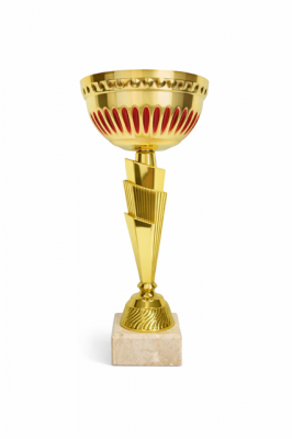 Pokal 5989